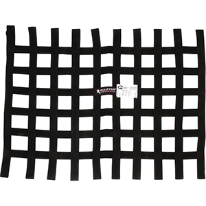 Window Net Ribbon Style Black 18"x24" SFI