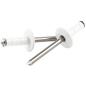3/16" Medium Head Multi-Grip Rivets Steel Mandrel White