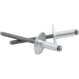 3/16" Large Head Rivets Steel Mandrel Silver
