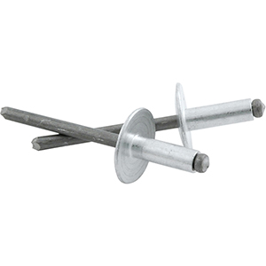 3/16" Large Head Rivets Steel Mandrel Silver