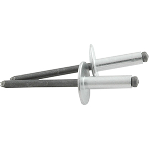 3/16" Large Head Rivets Steel Mandrel Silver
