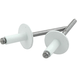 3/16" Large Head Rivets Steel Mandrel White