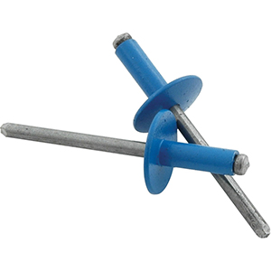 3/16" Large Head Rivets Steel Mandrel Pepsi Blue