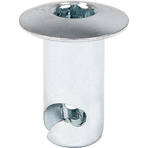 Steel Oval Allen Hd Fasteners 5/16" x .500" Long Steel Silver