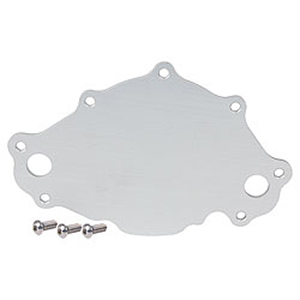 Water Pump Back Plate Late SBF