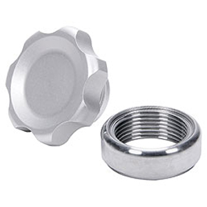 Small Fill Plug Kit w/Steel Weld-In Bung Silver