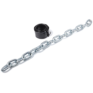 Limiter Chain Kit 1/2" Pin