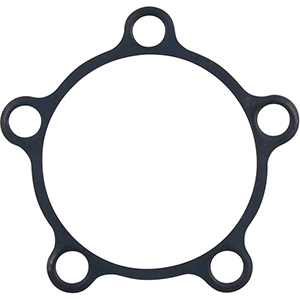 Drive Flange Gasket 5-Bolt