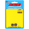ARP 200-8644 5/16-24 hex flange nut kit