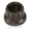 ARP 300-8301 5/16-24 12pt nut kit