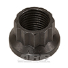 ARP 300-8304 1/2-20 12pt nut kit