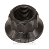 ARP 300-8309 5/8-18 12pt nut kit