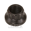 ARP 300-8344 M10 x 1.25  12pt nut kit