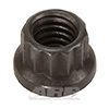 ARP 301-8303 5/16-18 12pt nut kit