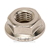 ARP 400-8610 5/16-24 SS flanged hex nut kit