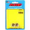 ARP 401-8331 M10 X 1.0 SS 12pt nut kit