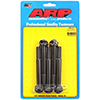 ARP 665-1011 M12 x 1.75 x 100 hex black oxide bolts