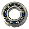 Bert Input Shaft Bearing