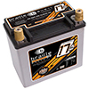 Braille B2317Rp Lightweight 12 Volt Agm Battery - 17 Lbs