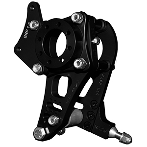 Bicknell Lr Roll B/C