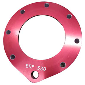 Bicknell Standard Rear Bird Cage