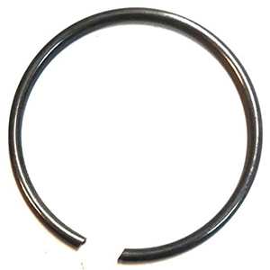 Bicknell Fox Top Snap Ring