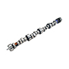 Camshaft Lt1 280Xfi Hr-13