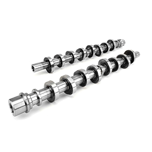 Camshaft Set F4.6S Xe278Ah-13