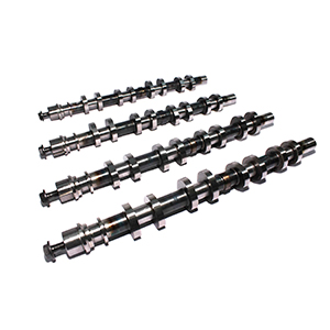Camshaft Set F4.6/5.4D Xe258Bh-116