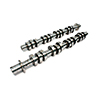 Camshaft Set F4.6 3V Xe272Ph-12