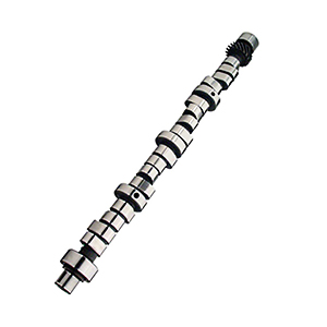 Camshaft Crs 262Hr-12