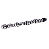 Camshaft Crs 262Hr-12