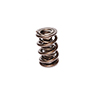 Valve Spring 1.683 Triple Drag Race