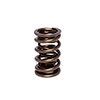 Valve Spring 1.565 Dual