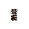 Valve Spring 1.564 Stock Latemodel