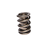 Valve Spring 1.640 Busch/Supertruck