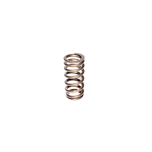 Valve Spring 1.061 Ford 4.6L2 Valve Sohc