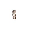 Valve Spring 1.061 Ford 4.6L2 Valve Sohc