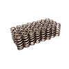 Valve Springs 1.061 Ford 4.6L2 Valve Sohc