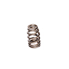 Valve Spring 1.444 Beehive