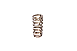 Valve Spring 1.105 Ford 4.6L4 Valve