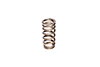 Valve Spring 1.105 Ford 4.6L4 Valve
