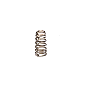 Valve Spring 1.101 H/L Ford 2V 3V Durmax