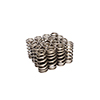 Valve Spring 1.101 H/L Ford 2Vbeehive