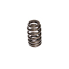 Valve Spring 1.290 Performance Gm Ls1