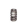 Valve Spring 1.310 High Performance Gm Ls1