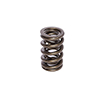 Valve Spring 1.320 Gm Ls1 Dual