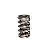 Dual Valve Spring .675 Lift 1.320 Od
