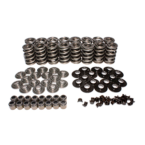 Kit Dual Valve Spring Ts Ls Type