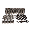 Kit Dual Valve Spring Ts Ls Type